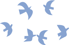 6 oiseaux bleus